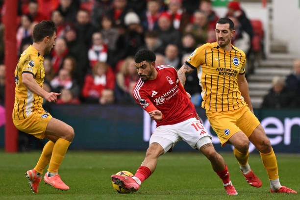 纽卡急需一 纽卡急需一